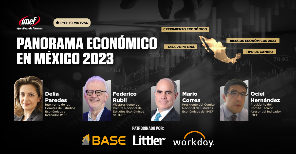 panorama_2023-web_imef