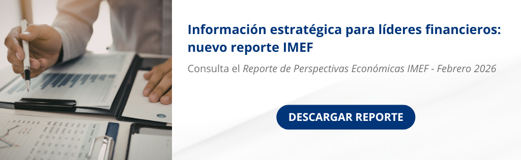 REPORTE IMEF FEBRERO 2026